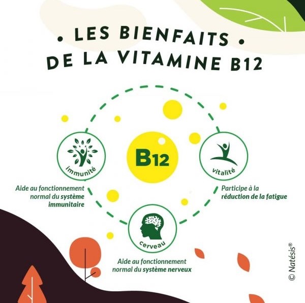 vitamine-b12-vegan-natesis