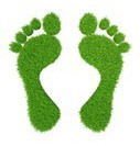 Transpiration des Pieds