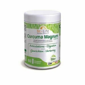 Curcuma Magnum 3200 Bio + Pipérine
