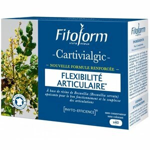Cartivialgic 80 comprimés