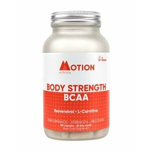 BCAA vegan 2:1:1 120 capsules