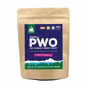 Pre Workout Energy Boost PWO - VO2Max saveur Fruits Rouges
