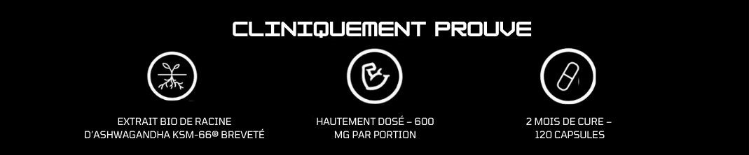 Ashwagandha 600 PRO cliniquement prouve – VAST Sports
