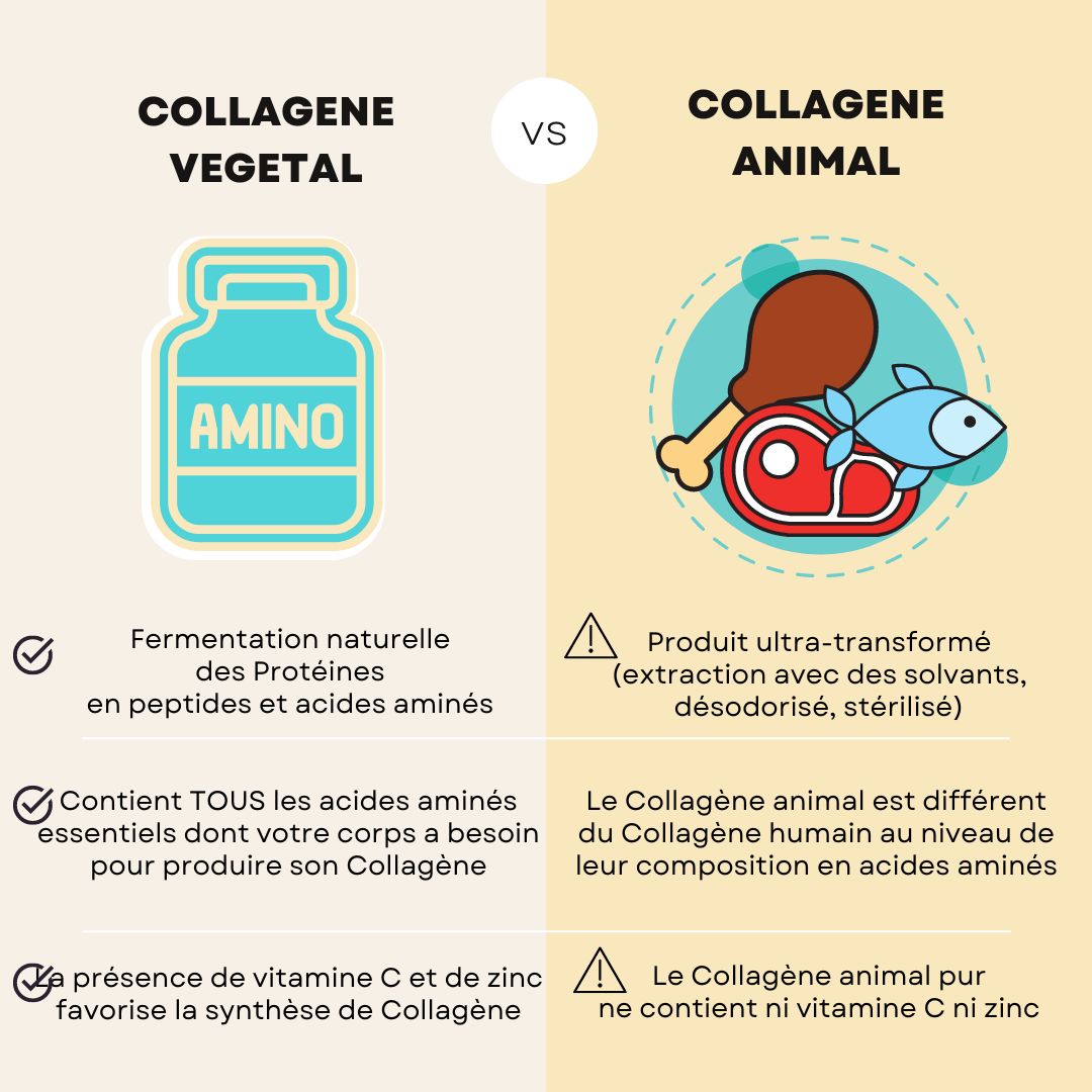 Collagene vegetal VS collagene animal et collagene marin
