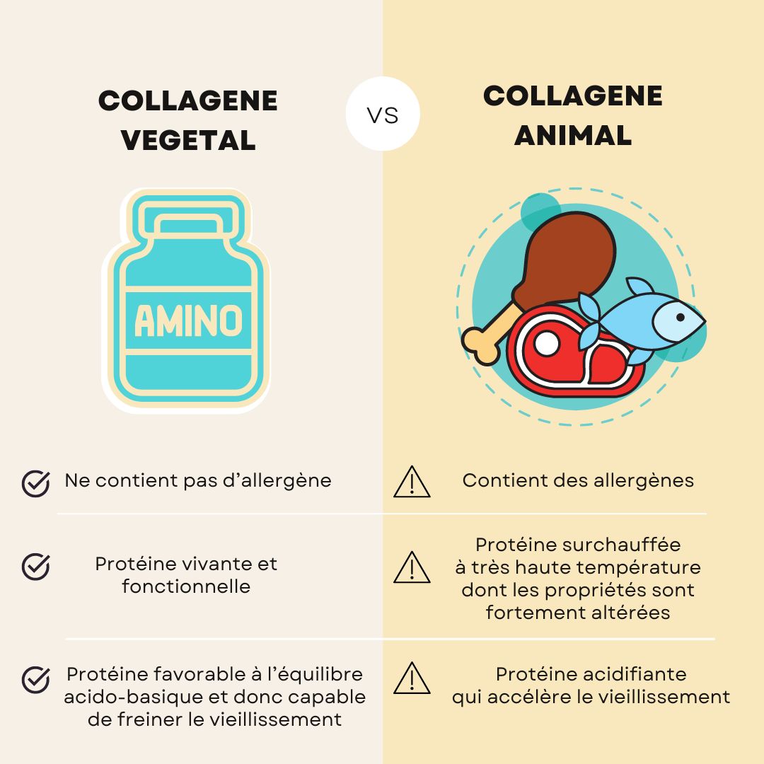Collagene vegetal VS collagene animal et collagene marin