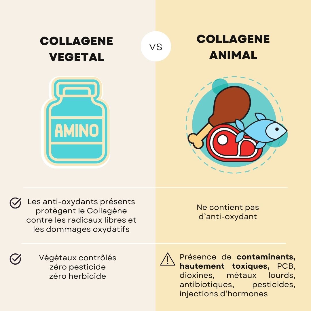 Collagene vegetal VS collagene animal et collagene marin