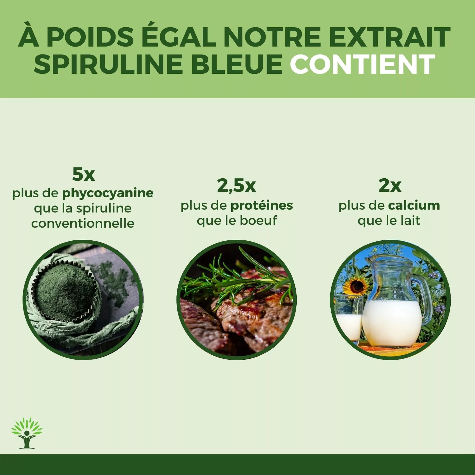 Comparaison entre la phycocyanine bio et la spiruline, le boeuf et le lait