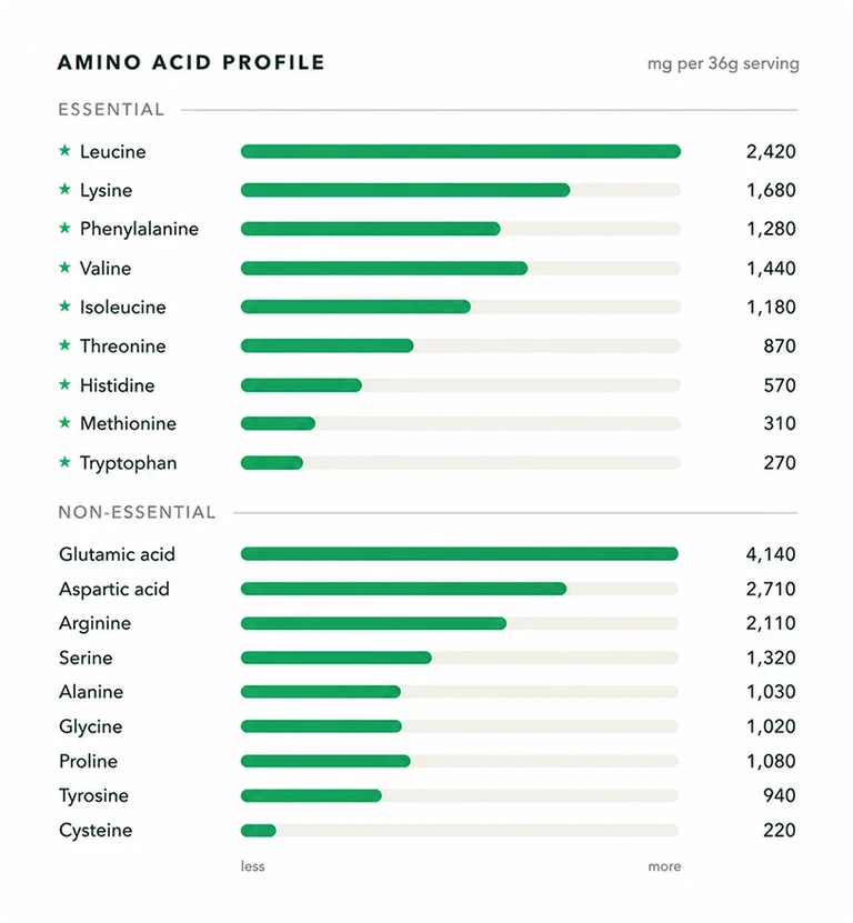 Perform_Protein_vivo_life_profil_amine