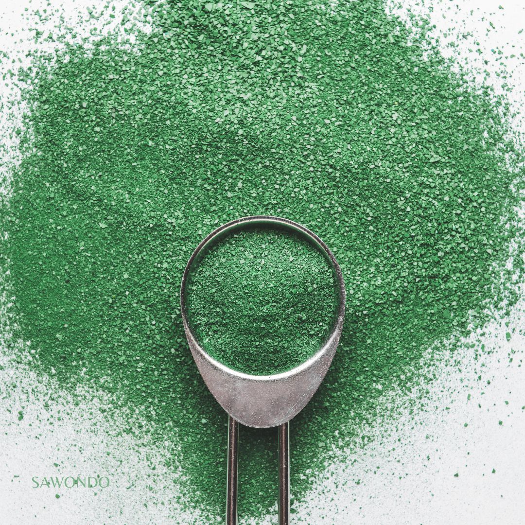 Pesto à la spiruline bio microgranules Flamant Vert et graines de chanvre