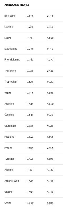 Raw Protein Collagen Plus Choc Hazelnut