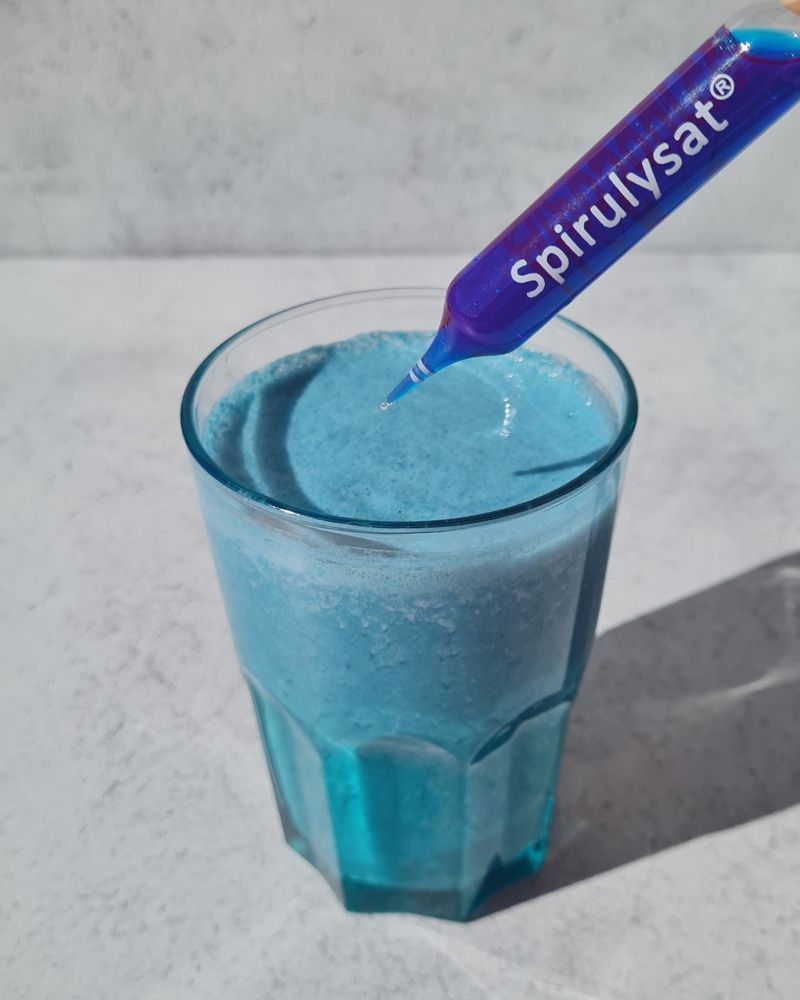 Shake bleu proteine recuperation apres l effort blue bondi beach iceberg avec spirulysat concentre en phycocyanine