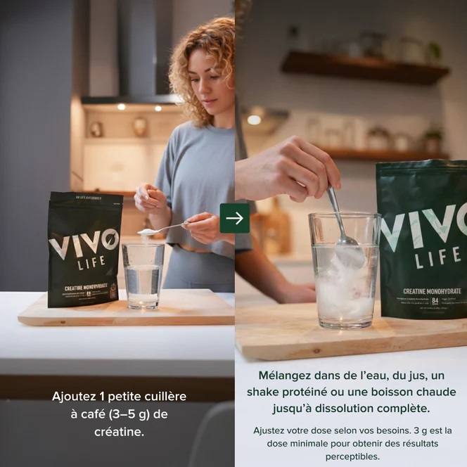 creatine vegan vivo life