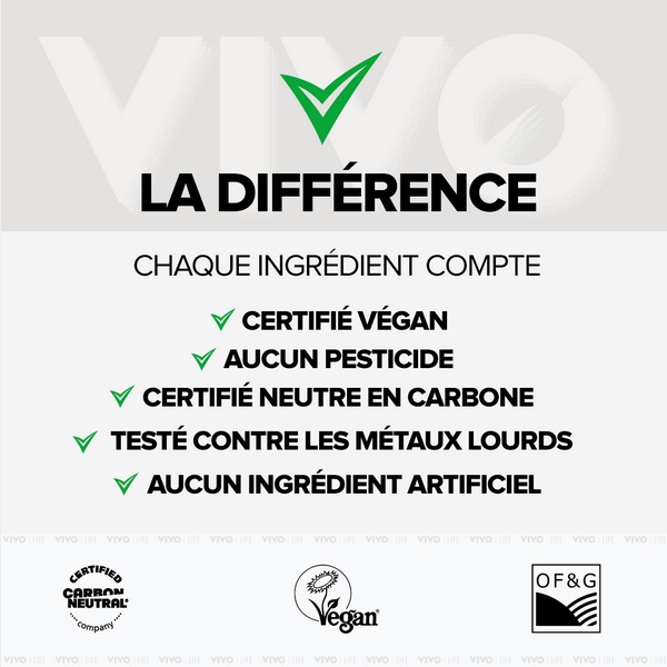 vivo life proteine vegetale en poudre 