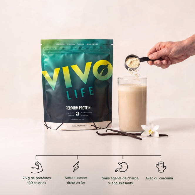 Vivo life proteine perform bcaa vanille