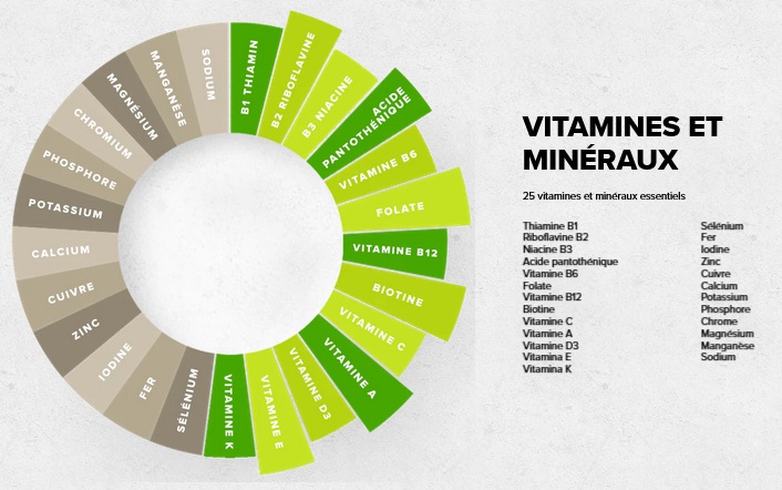 Vivo life whole substitut de repas protéines végétales vitamines