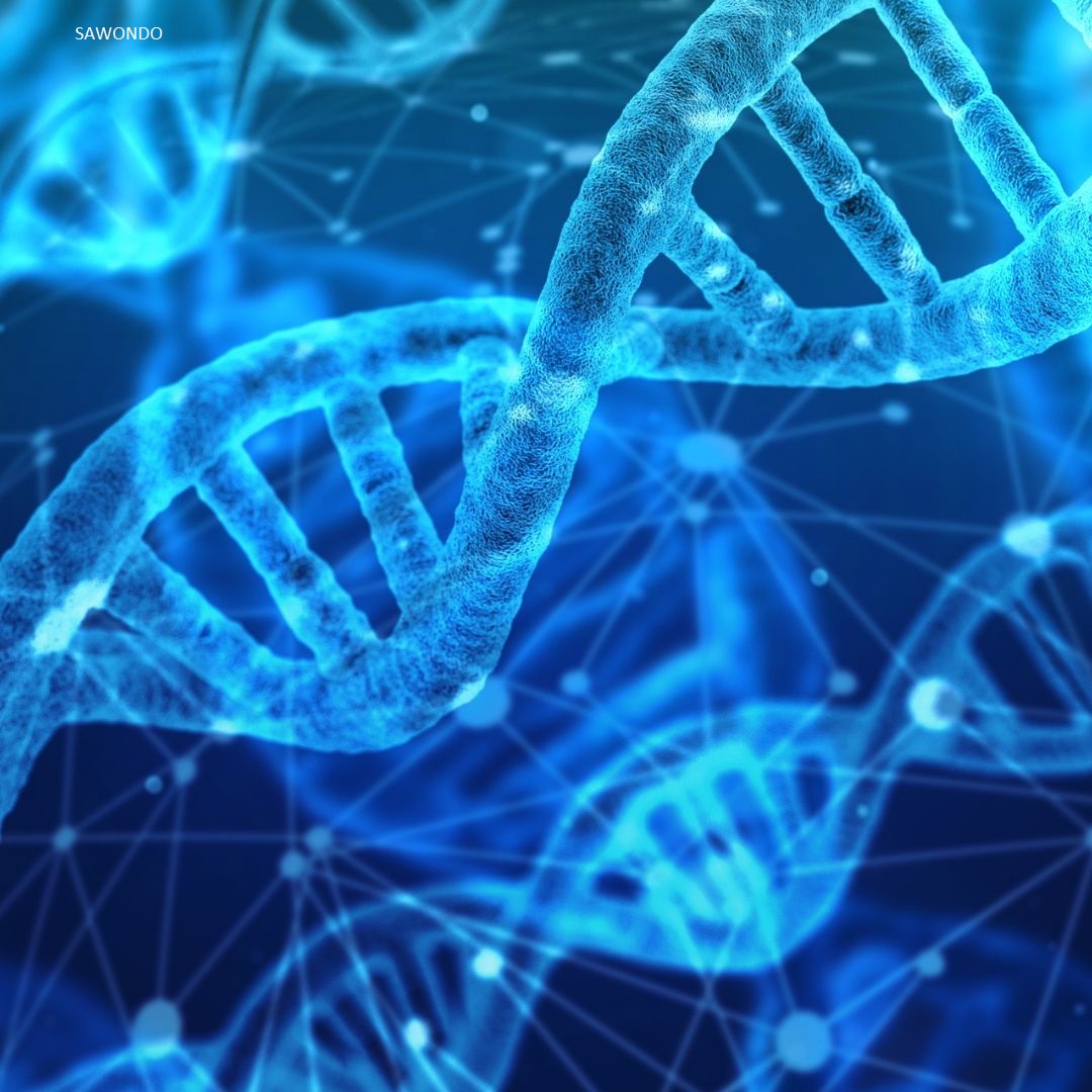 collagene peptides structure helice