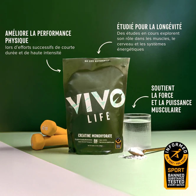 creatine vegetale vivo life performance sportive