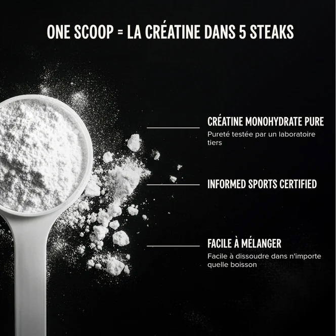 creatine vegetale vivo life performance sportive