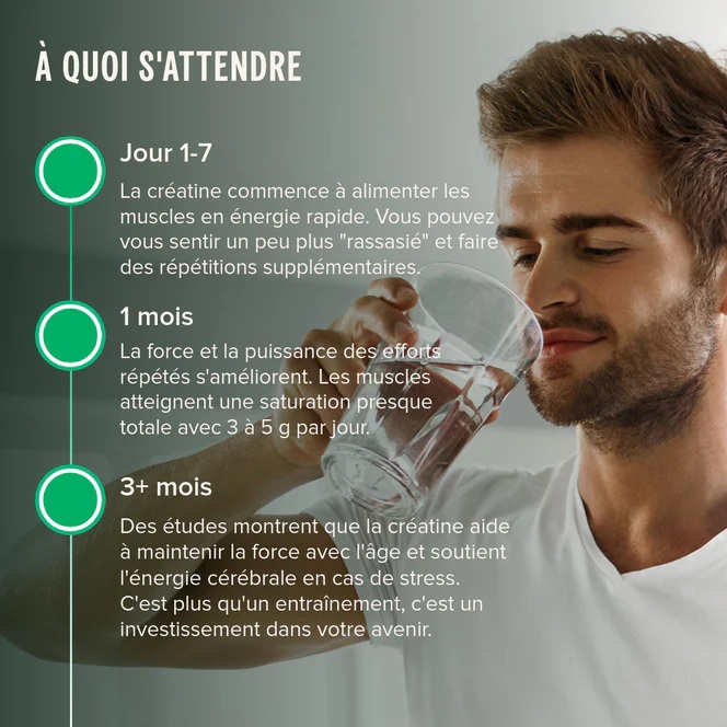 creatine vegetale vivo life performance sportive