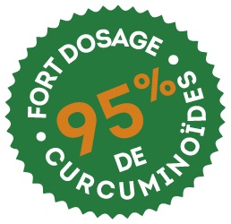 curcumaxx 95% curcumine