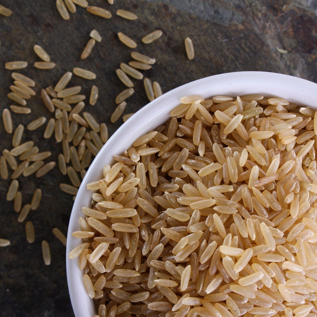 proteine de riz complet brun bio