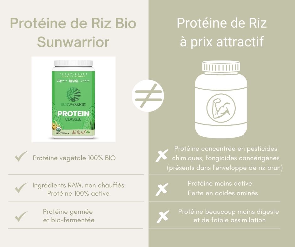 Comment choisir la proteine de riz poudre