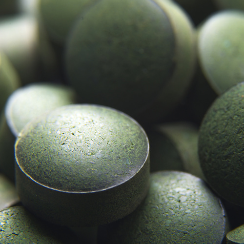 spiruline bio comprimés