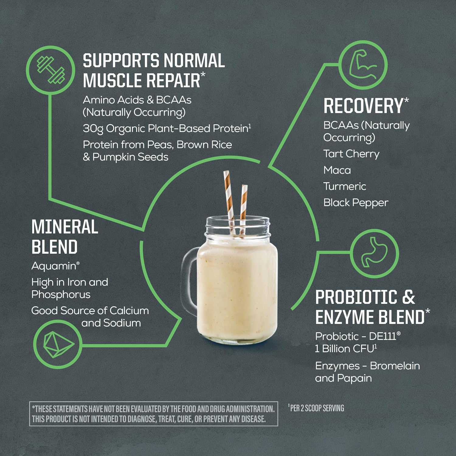 sunwarrior active proteine nature