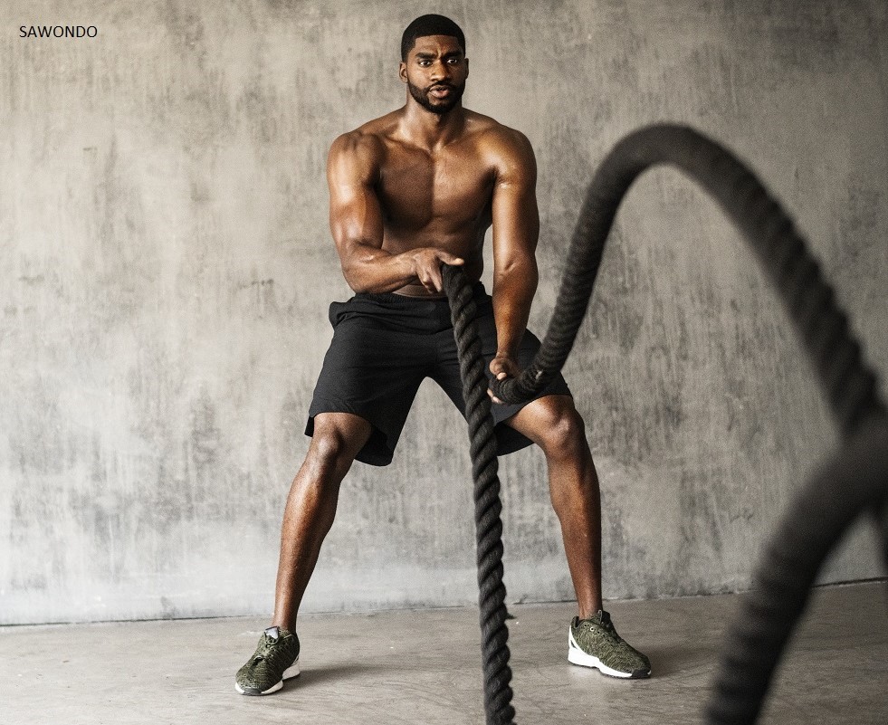 sunwarrior creatine HMB sportif crossfit